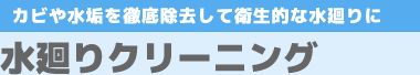 カビや水垢を徹底除去して衛生的な水廻りに「水廻りクリーニング」
