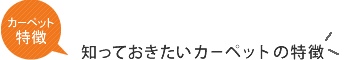 知っておきたいカーペットの特徴